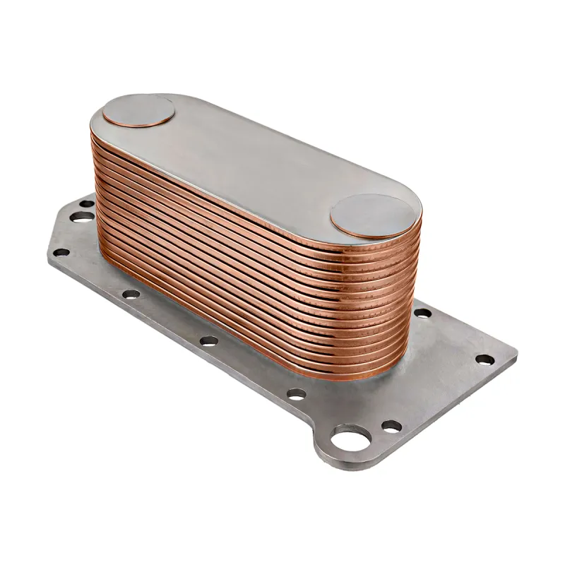Radiador Óleo Ford Bh2x6b856aa Vw 2t2 117 021 A