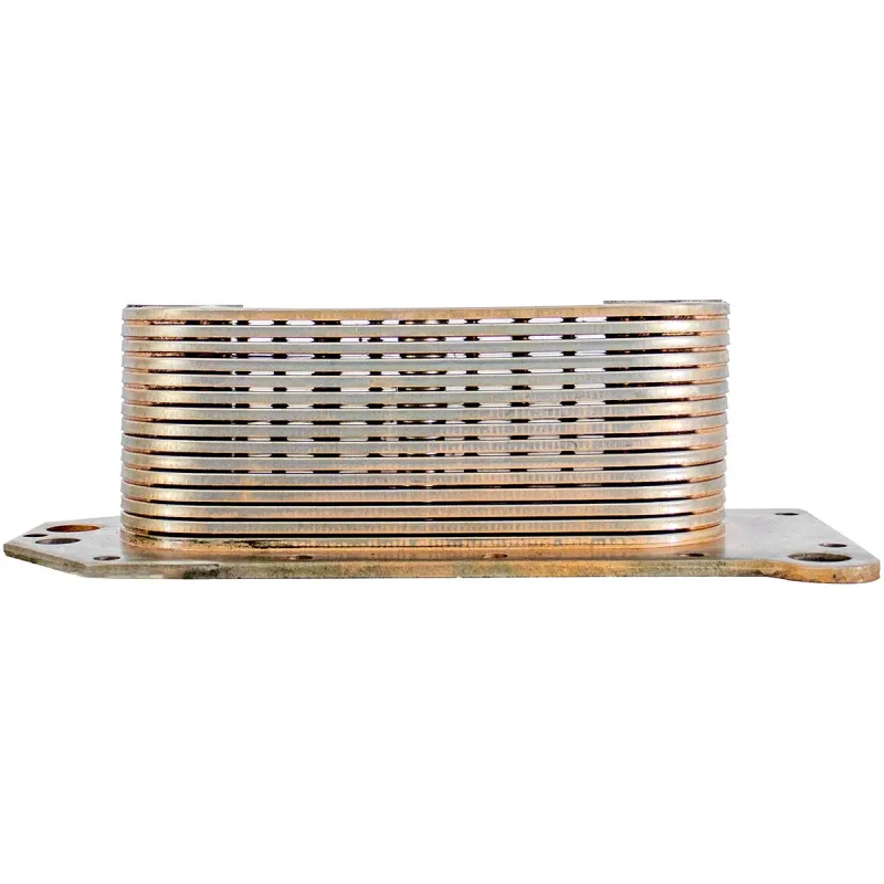 Radiador Óleo Ford Bh2x6b856aa Vw 2t2 117 021 A