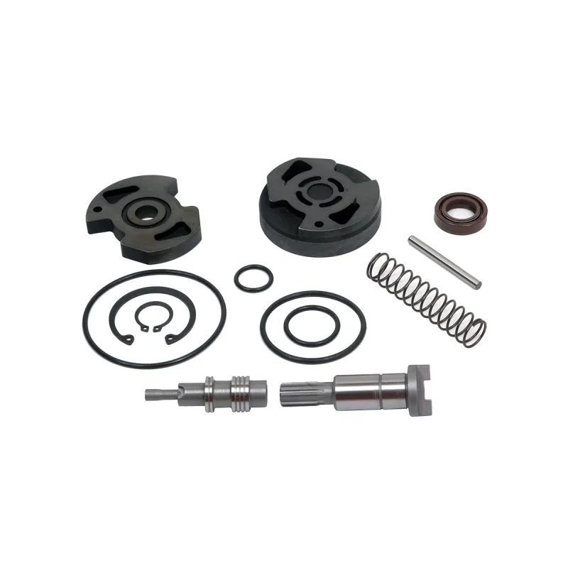 Reparo Bomba Vw
