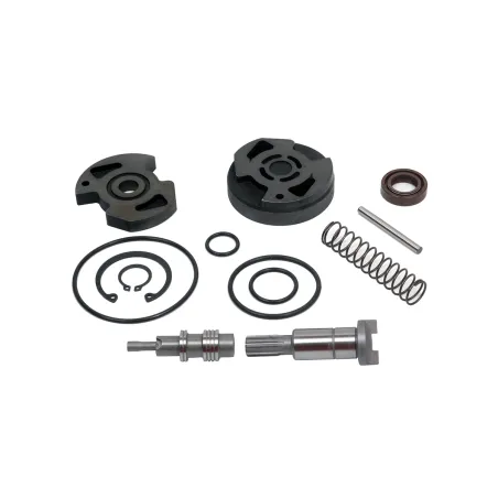 Reparo Bomba Vw