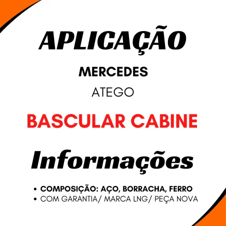 Reparo Bomba Hidráulica Mercedes Atego
