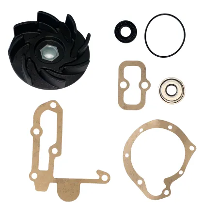 Reparos Bomba Dágua 1111 / 1113 / 1114 /1115 / 1116 / 1118 / 1313