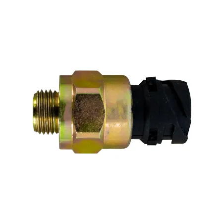 Interruptor Luz Freio Fh13