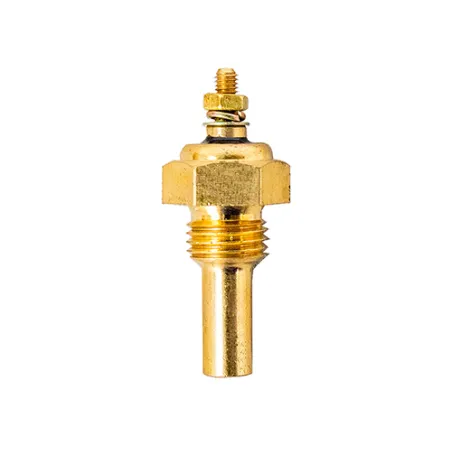 Sensor Temperatura Dágua Longo