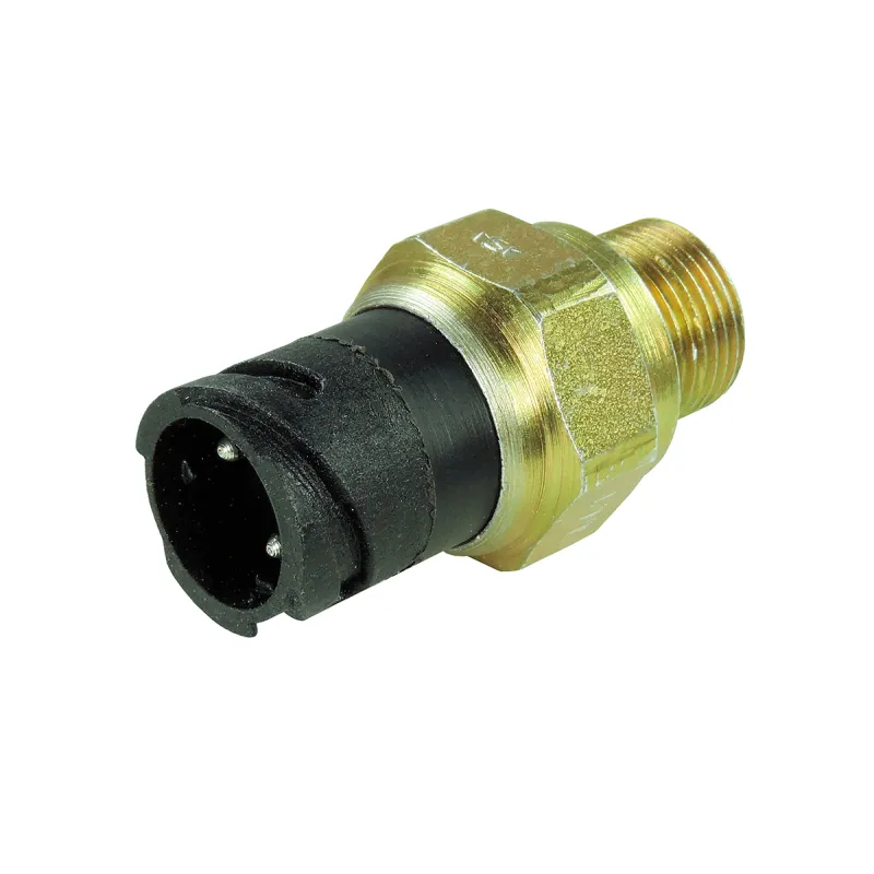 Interruptor Luz Re Mbb 1620/ 1621/ 1720/ 1938/ Atego 1725 2 Pinos