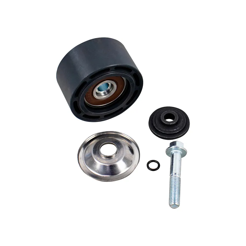 Polia Tensor Correia S-5 (2012...) Ferro