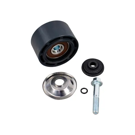 Polia Tensor Correia S-5 (2012...) Ferro