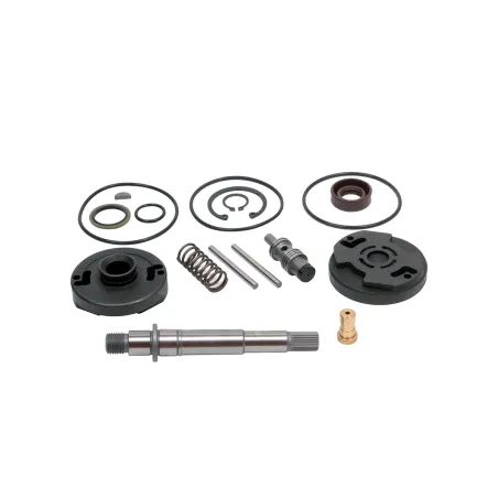 Reparo Bomba Toyota Bandeirante (Motor Mbb) Vw 11130/13130 (Mwm 229)