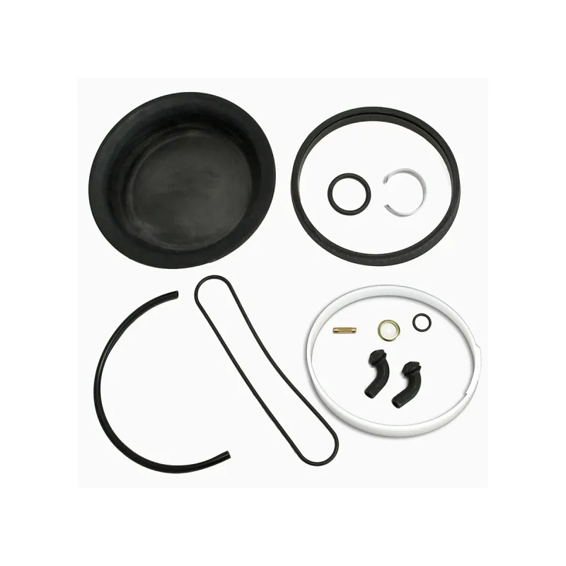 Reparo Cuica Spring Brake Mbb Diversas