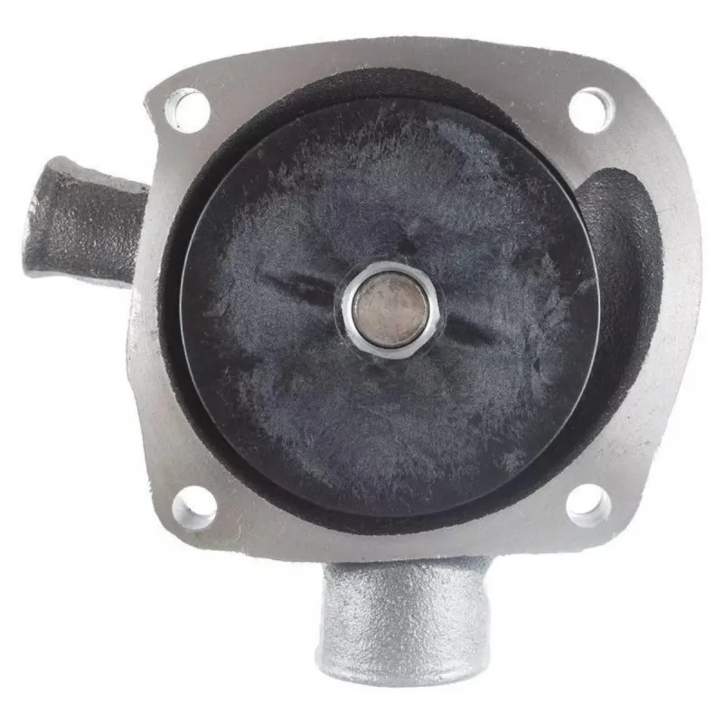 Bomba Dágua Com Cubo Motor Mwm Aspirado