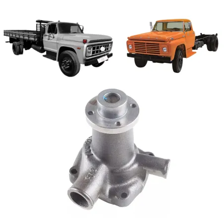 Bomba Dágua Com Cubo Motor Mwm Aspirado