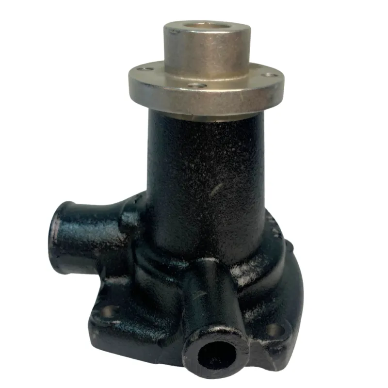 Bomba Dágua Com Cubo Motor Mwm Aspirado