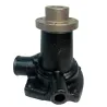 Bomba Dágua Com Cubo Motor Mwm Aspirado