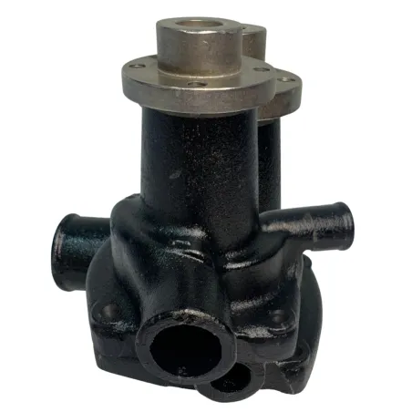 Bomba Dágua Com Cubo Motor Mwm Aspirado