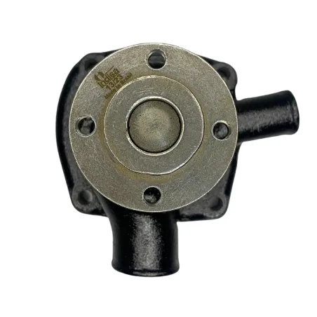 Bomba Dágua Com Cubo Motor Mwm Aspirado