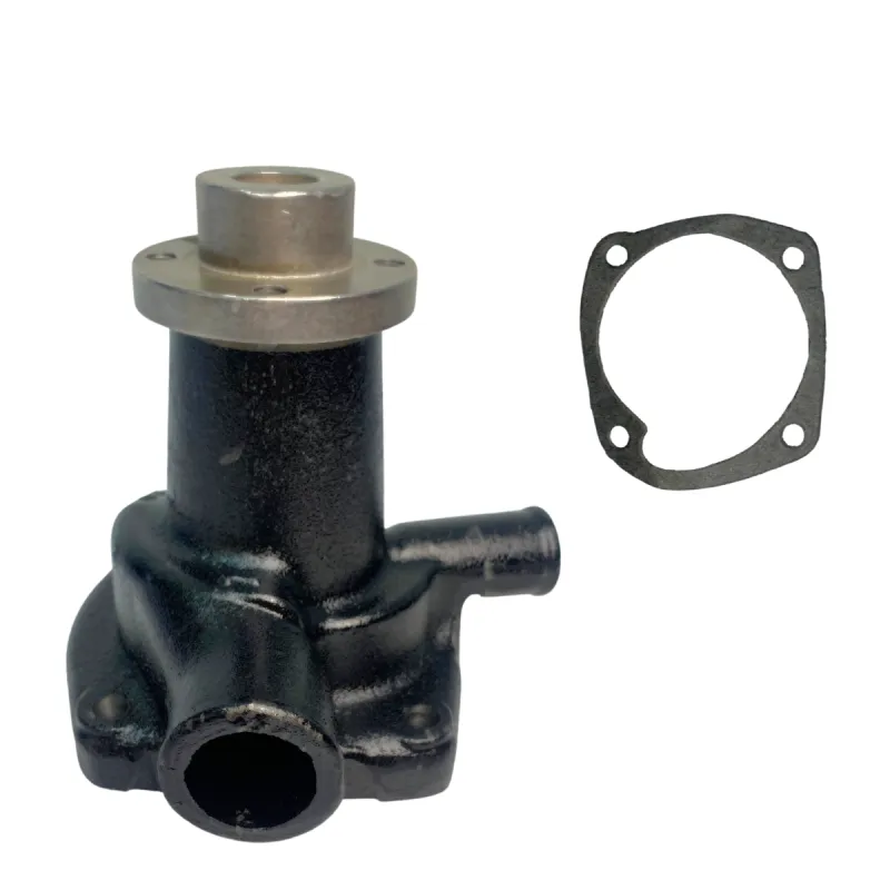Bomba Dágua Com Cubo Motor Mwm Aspirado