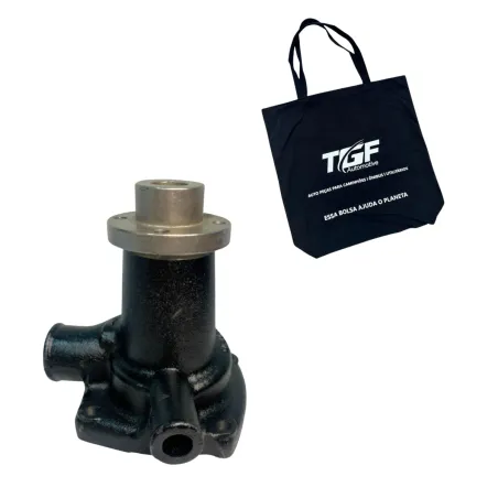 Bomba Dágua Com Cubo Motor Mwm Aspirado