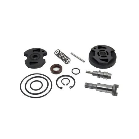 Reparo Bomba Vw 790s/7110s/8120/8150